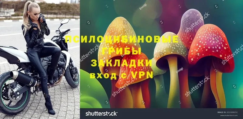 блэк спрут ссылка  Отрадная  Галлюциногенные грибы Magic Shrooms  где купить наркоту 