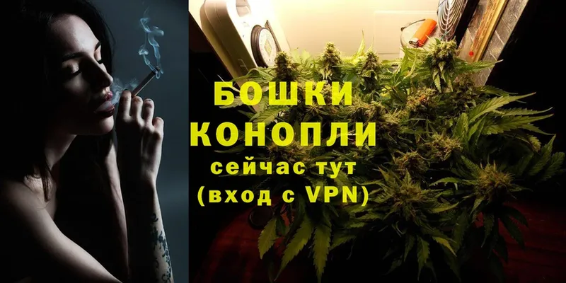 Бошки марихуана Ganja  Отрадная 